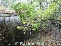 Kopie van DSC02438